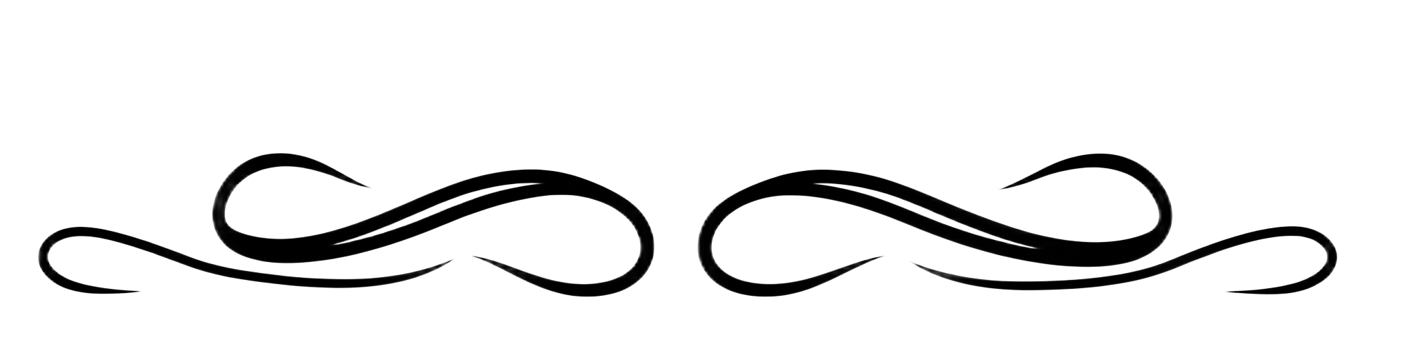 Decorative line flourish
